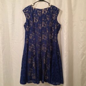 Navy & Nude Lace Fit and Flare Sleeveless Dress